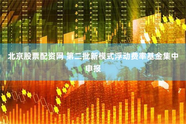 北京股票配资网 第二批新模式浮动费率基金集中申报